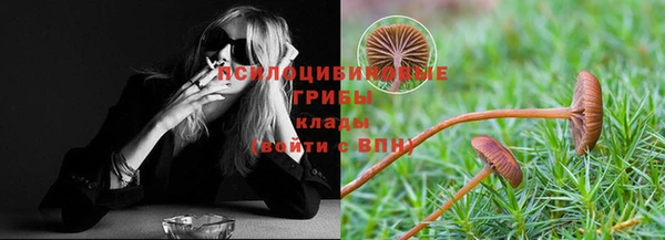 дживик Медвежьегорск