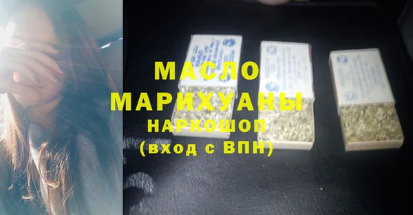 индика Михайловск