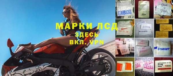 ГАЛЛЮЦИНОГЕННЫЕ ГРИБЫ Медногорск