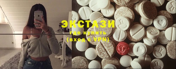 индика Михайловск