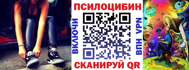 Псилоцибиновые грибы MAGIC MUSHROOMS  блэк спрут онион  Моздок 